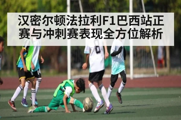 汉密尔顿法拉利F1巴西站正赛与冲刺赛表现全方位解析（kaiyun）
